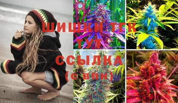 стафф Абинск